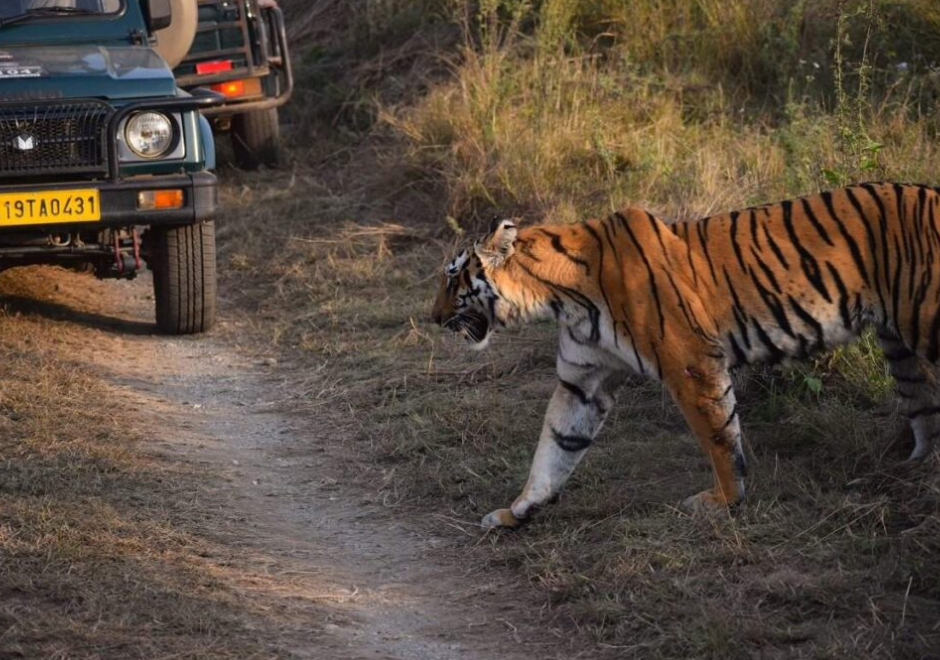 Adventure Activities 1