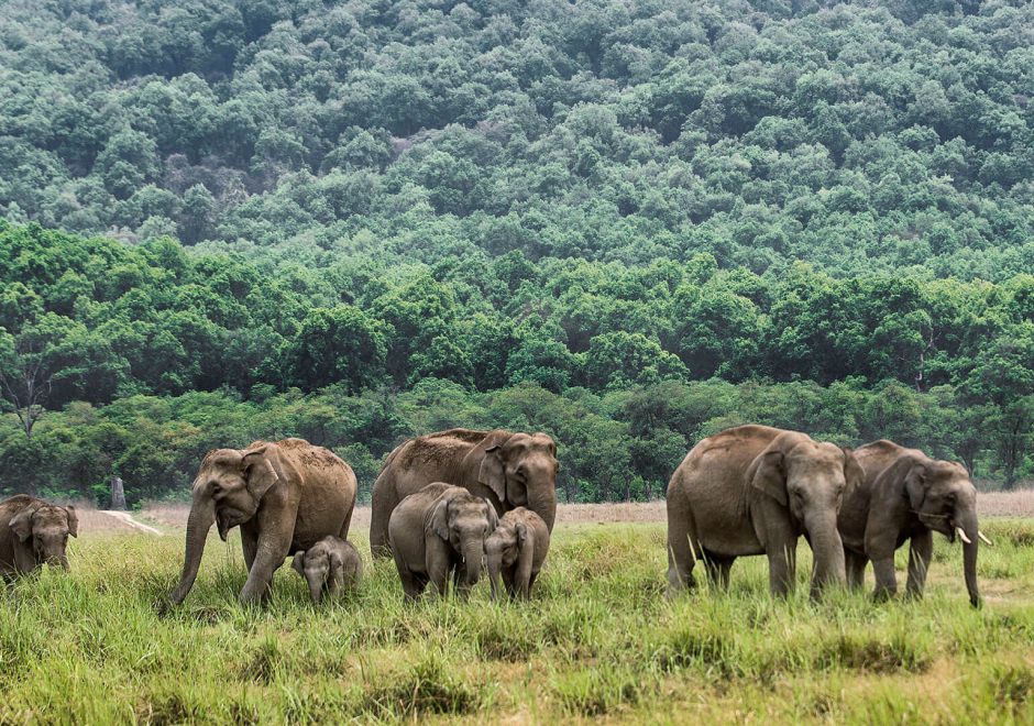 Adventure Activities 2